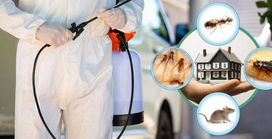 Üçkuyular Böcek İlaçlama