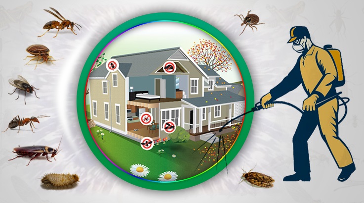 Üçkuyular Böcek İlaçlama