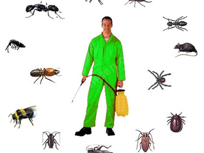 Üçkuyular Böcek İlaçlama